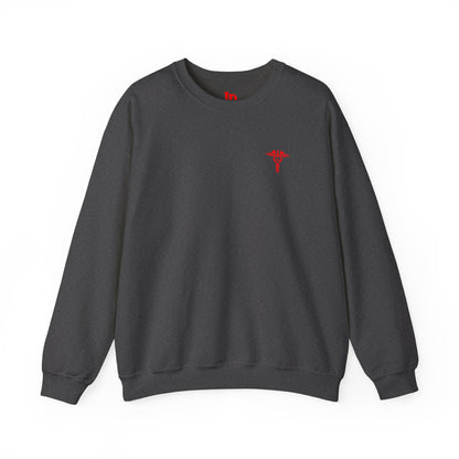 Emergency Department Sweatshirt — Caduceus Back Design, Gift for Nurses & ED Staff